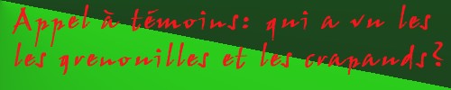 Appel à témoins: qui a vu les grenouilles et les crapauds?