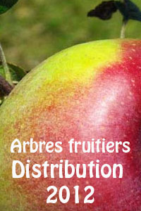 Attribution 2012 d'arbres fruitiers de variété ancienne -- 25/11/12