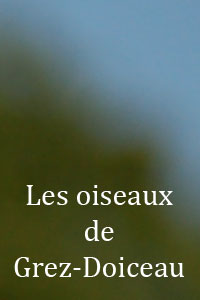 PCDN de Grez-Doiceau - Rencontre avec les oiseaux