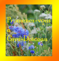 Promenade à Grez-Doiceau