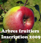 Des anciennes essences locales d'arbres fruitiers dans votre jardin. -- 01/11/09